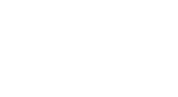 
The Company
